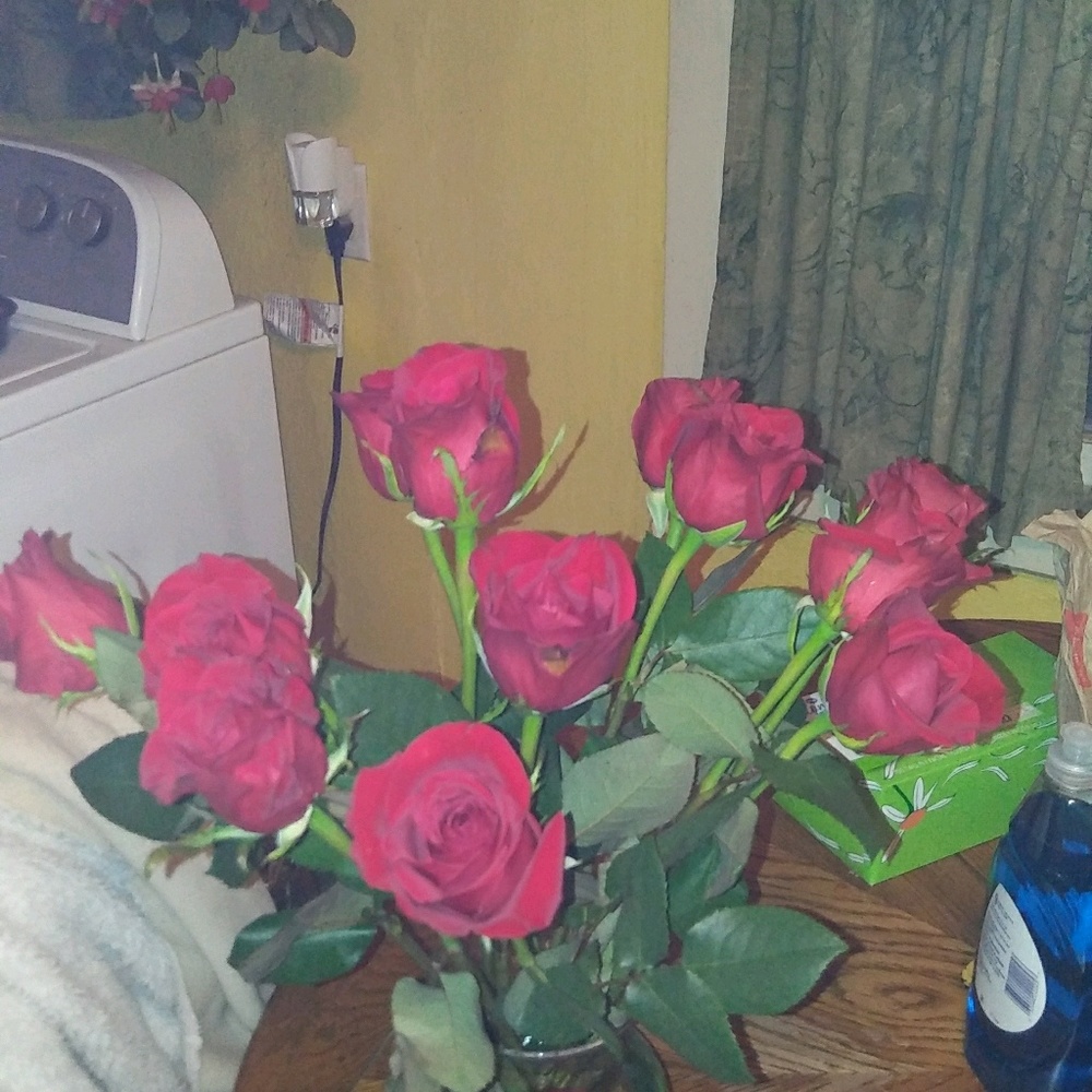 Meet your Posher, Mary jo